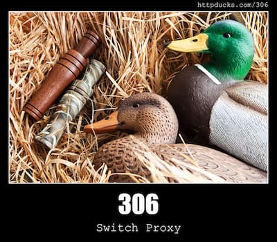 306 Switch Proxy & Ducks