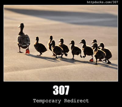 307 Temporary Redirect & Ducks