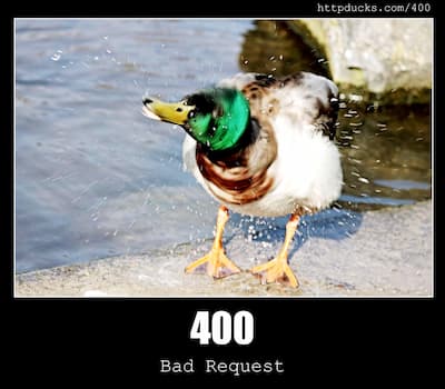 400 Bad Request & Ducks