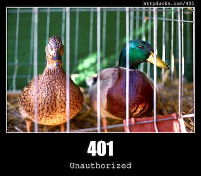 401 Unauthorized & Ducks
