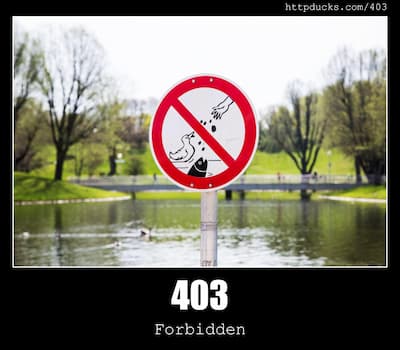 403 Forbidden & Ducks