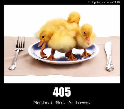 405 Method Not Allowed & Ducks