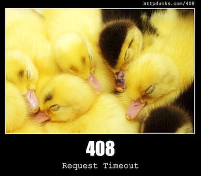 408 Request Timeout & Ducks