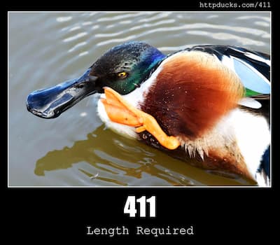 411 Length Required & Ducks
