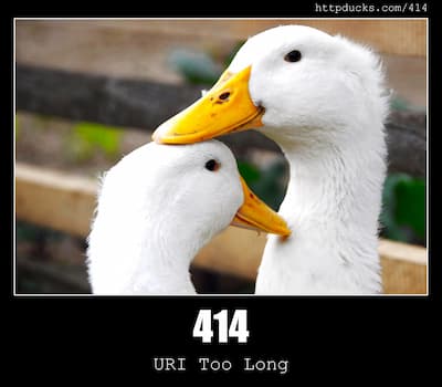 414 URI Too Long & Ducks