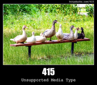 415 Unsupported Media Type & Ducks