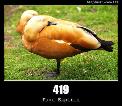 419 Page Expired & Ducks