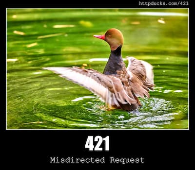421 Misdirected Request & Ducks