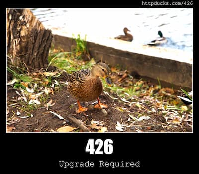 426 Upgrade Required & Ducks