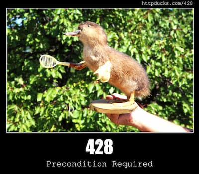 428 Precondition Required & Ducks