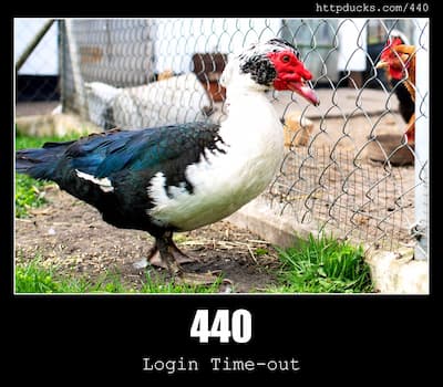 440 Login Time-out & Ducks