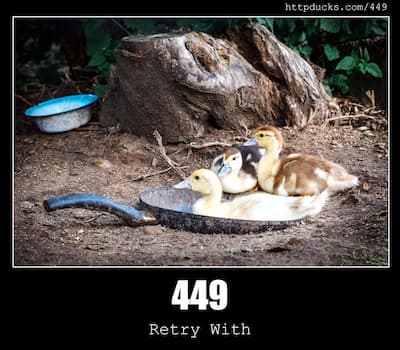 449 Retry With & Ducks