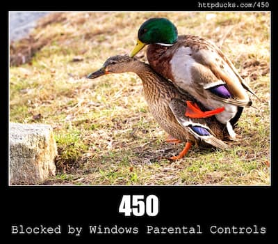 450 Blocked by Windows Parental Controls & Ducks