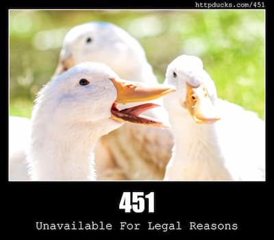 451 Unavailable For Legal Reasons & Ducks