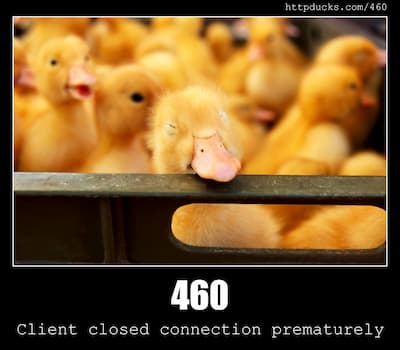 460 Client closed connection prematurely & Ducks