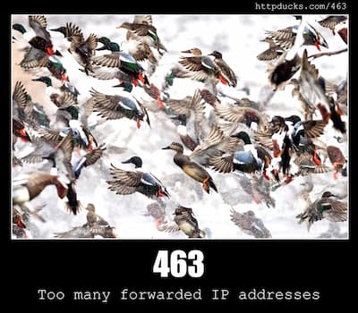 463 Too many forwarded IP addresses & Ducks