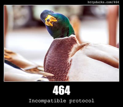 464 Incompatible protocol & Ducks