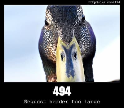 494 Request header too large & Ducks
