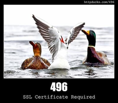 496 SSL Certificate Required & Ducks