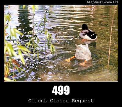 499 Client Closed Request & Ducks