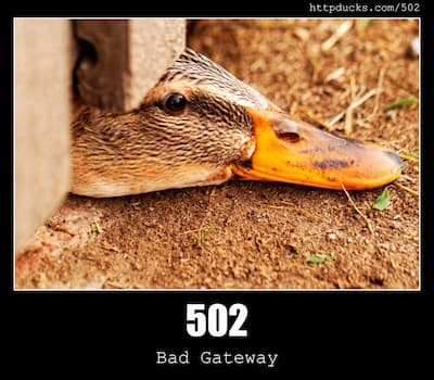 502 Bad Gateway & Ducks