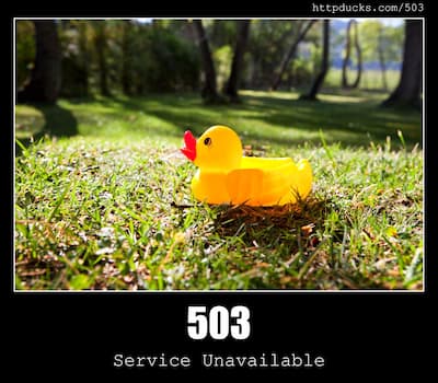503 Service Unavailable & Ducks
