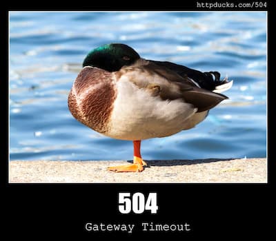 504 Gateway Timeout & Ducks