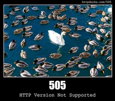505 HTTP Version Not Supported & Ducks