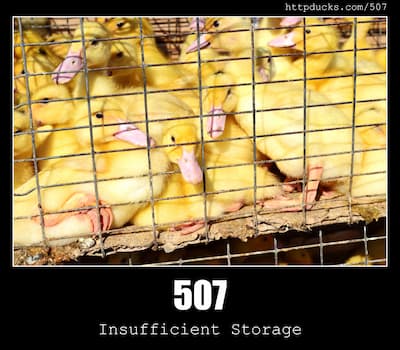 507 Insufficient Storage & Ducks