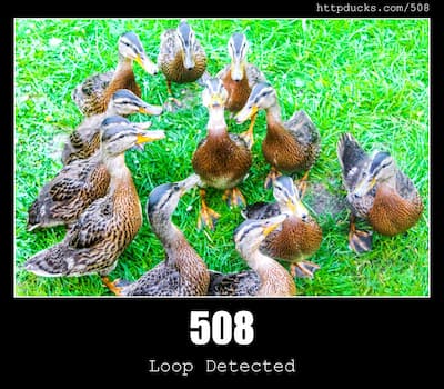 508 Loop Detected & Ducks