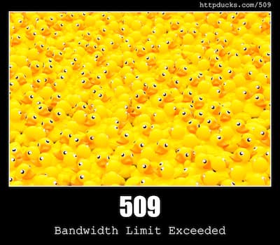 509 Bandwidth Limit Exceeded & Ducks