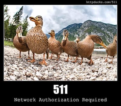 511 Network Authentication Required & Ducks