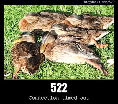 522 Connection timed out & Ducks