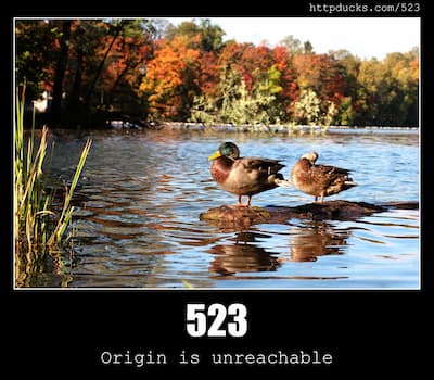 523 Origin is unreachable & Ducks
