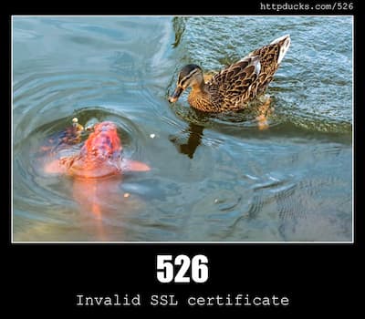 526 Invalid SSL certificate & Ducks