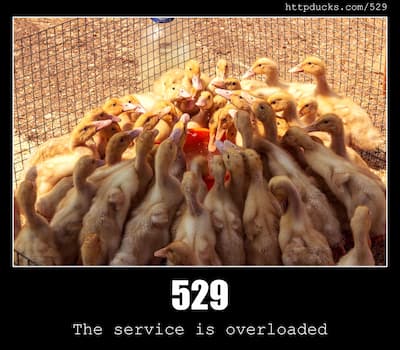 529 The service is overloaded & Ducks