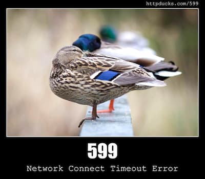 599 Network Connect Timeout Error & Ducks
