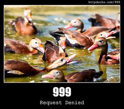 999 Request Denied & Ducks